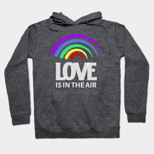 Love is In the Air | LGBTQ Pride Hoodie